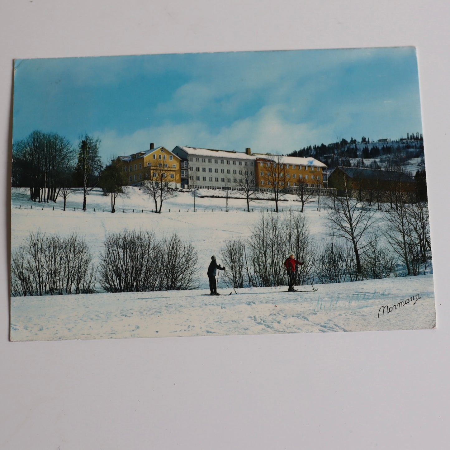 Ramme med skidekor - secondhand