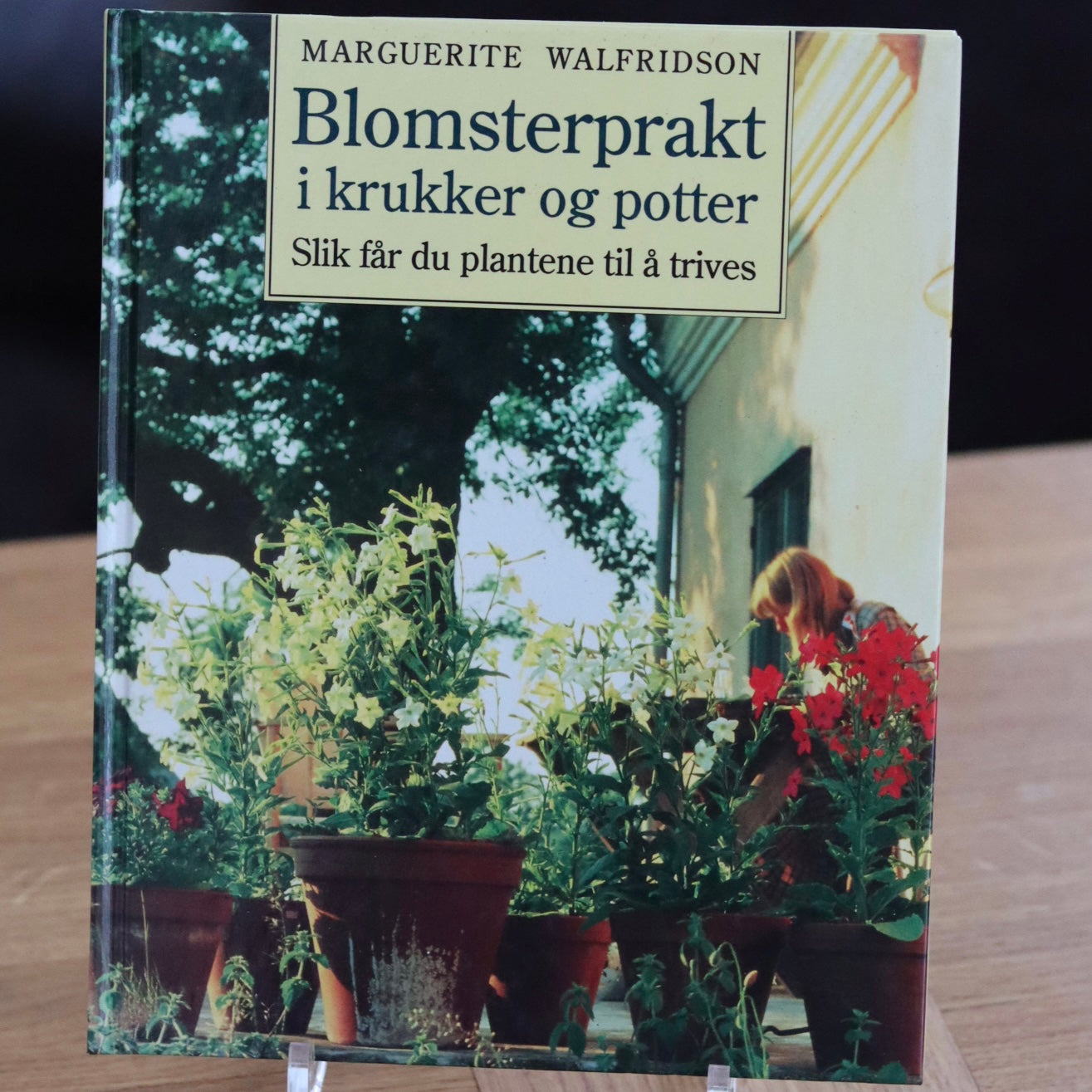 Bok - blomsterprakt i krukker og potter